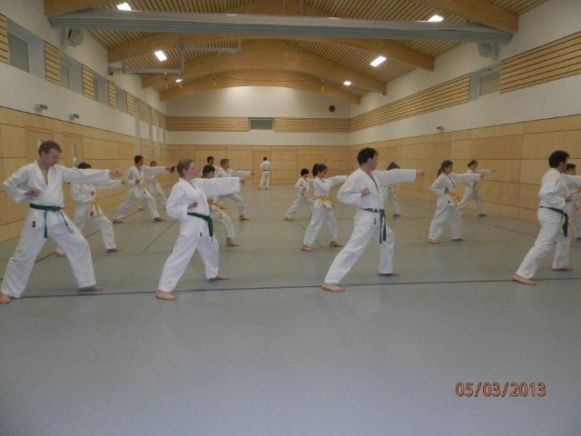 Taekwondo Training